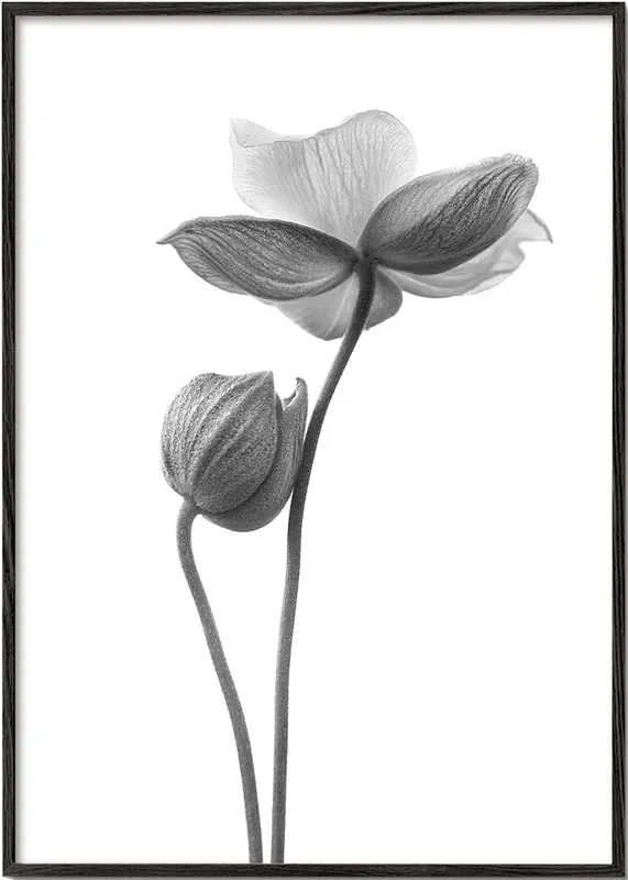 A little touch monochrome – Lotte Grønkjær – Poster / 8 » x 12 » in / No