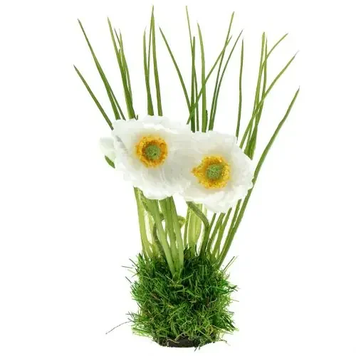 Amapola Blanca en la hierba 23cm