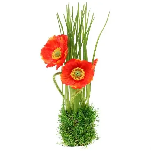 Amapola roja en la hierba 23cm