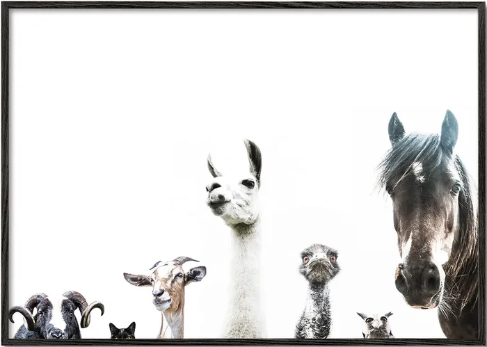 Animal Crew 2 – Poster / 8 » x 12 » in / No