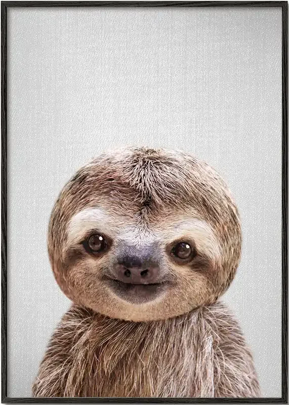 Baby Sloth – Poster / 8 » x 12 » in / No