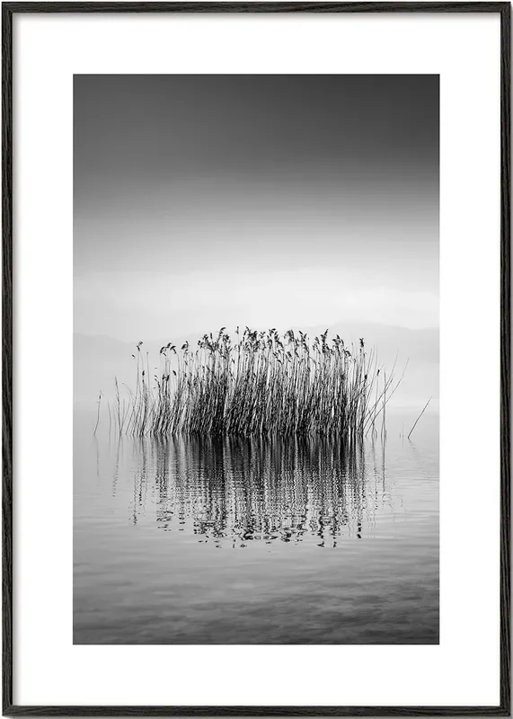 Black and White Silence – George Digalakis – Poster / 8 » x 12 » in / No