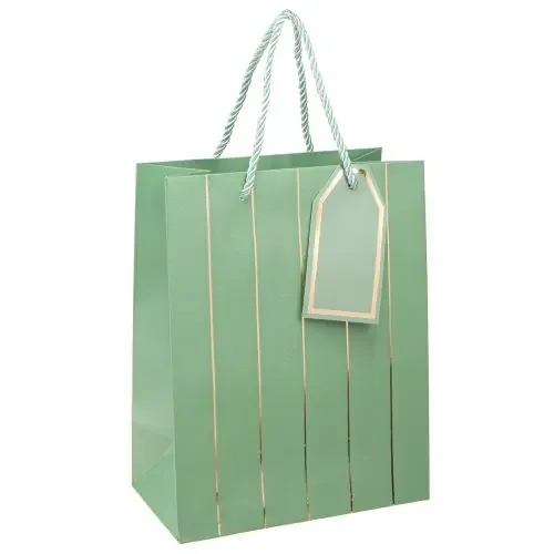 Bolsa regalo verde claro rayas doradas 18×10×23cm 1ud