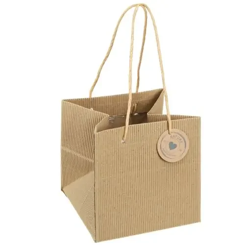 Bolsas para plantas de papel acanalado natural 14x14x13,5cm 8 uds