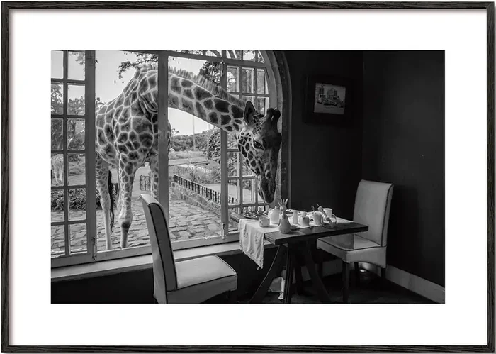 Breakfast time – Jie Fischer – Poster / 8 » x 12 » in / No
