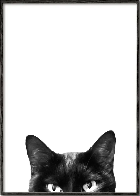 Caught in the act 2 – Poster / 8 » x 12 » in / No