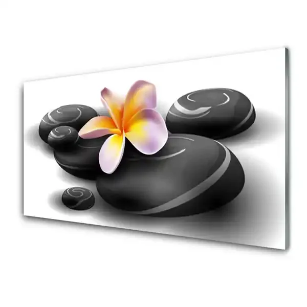 Cuadro de acrílico Flor piedras naturaleza