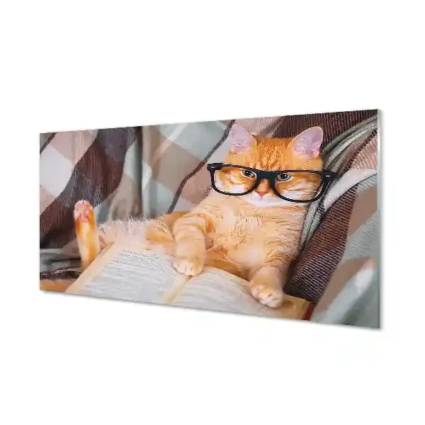 Cuadro de cristal acrílico El gato lector