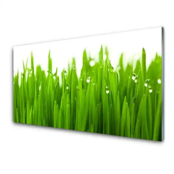 Cuadro de cristal acrílico Hierba naturaleza planta
