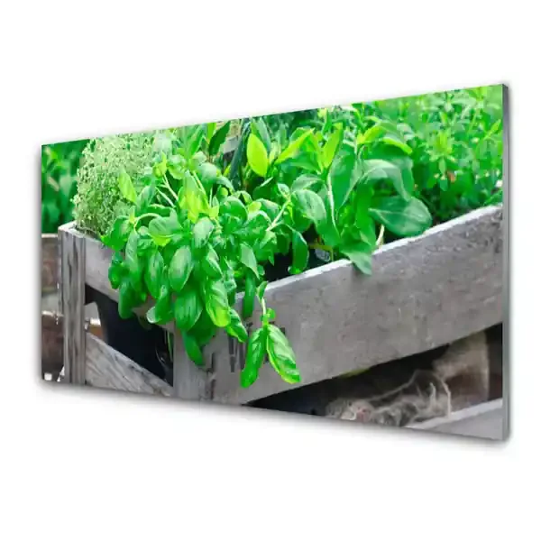 Cuadro de cristal acrílico Hojas naturaleza planta