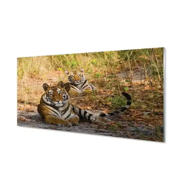 Cuadro de cristal Tigres