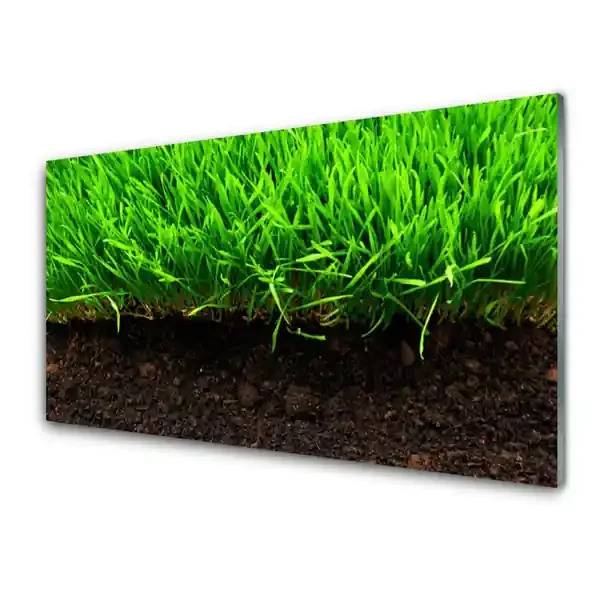 Cuadro de vidrio Hierba naturaleza planta