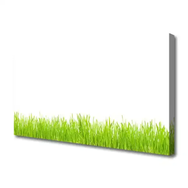 Cuadro en lienzo canvas Hierba planta naturaleza