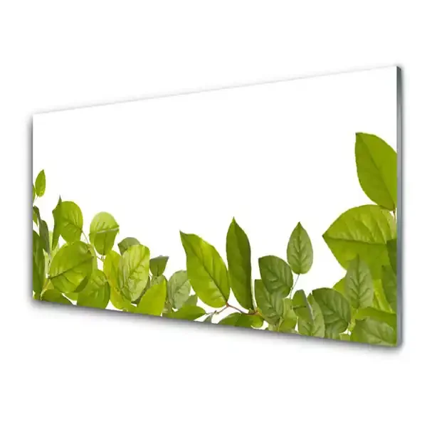 Cuadro en vidrio Hojas naturaleza planta