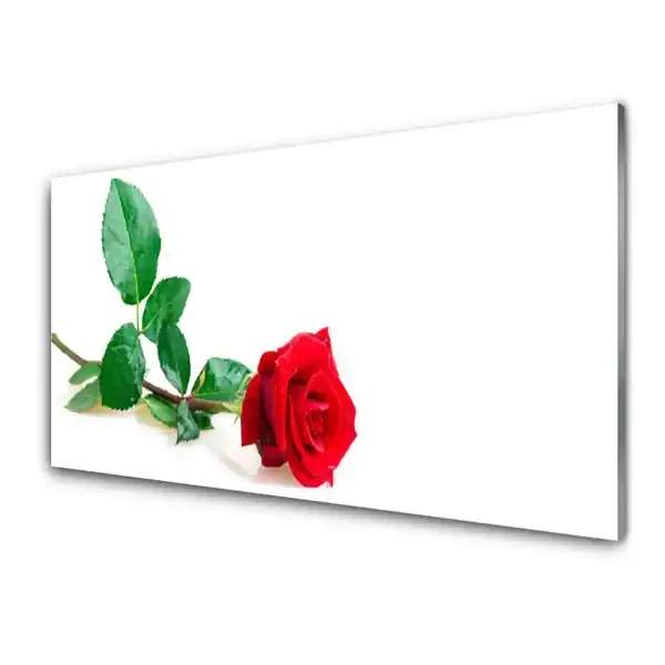 Cuadro en vidrio Rosa flor planta naturaleza