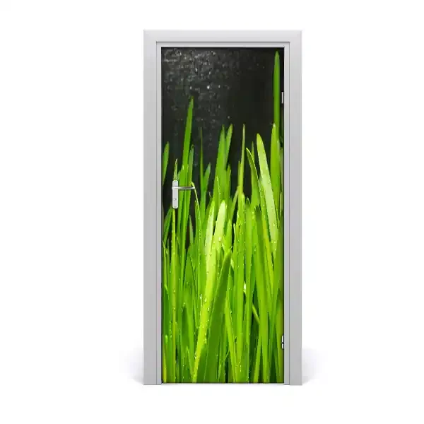 Door adhesive Briznas de hierba