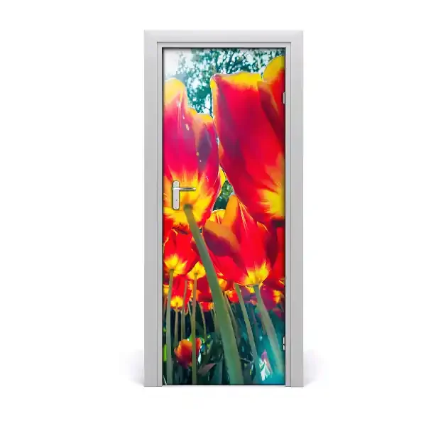 Door adhesive Tulipanes