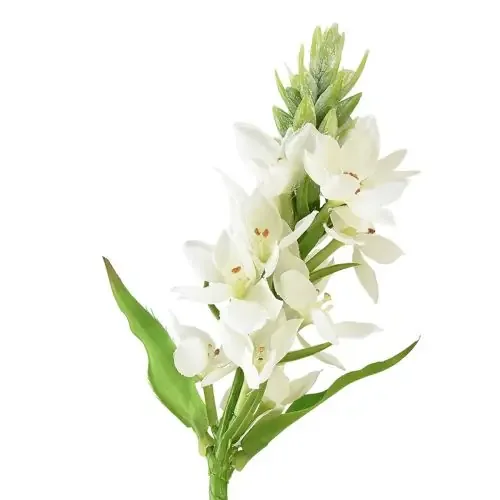 Flor Artificial Jardín Leche Estrella Flor Artificial Blanco 50cm