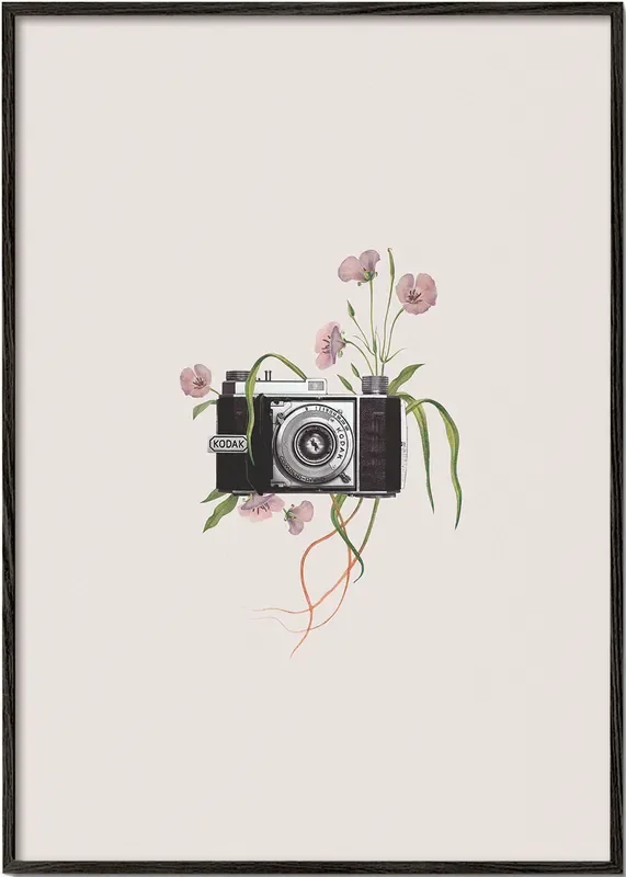 Floral kodak camera – Poster / 8 » x 12 » in / No