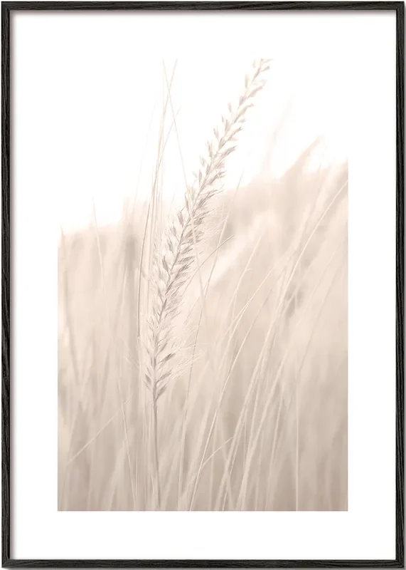 Grass V – Poster / 8 » x 12 » in / No