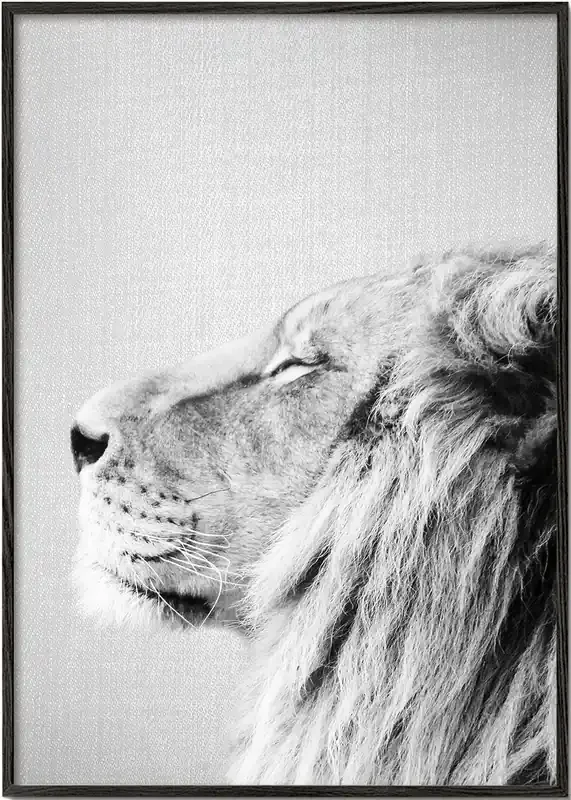 Lion Portrait – Black & White – Poster / 8 » x 12 » in / No