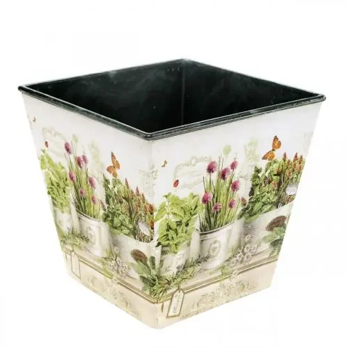 Maceta para hierbas, jardinera con motivo, jardinera H13cm W13,5cm