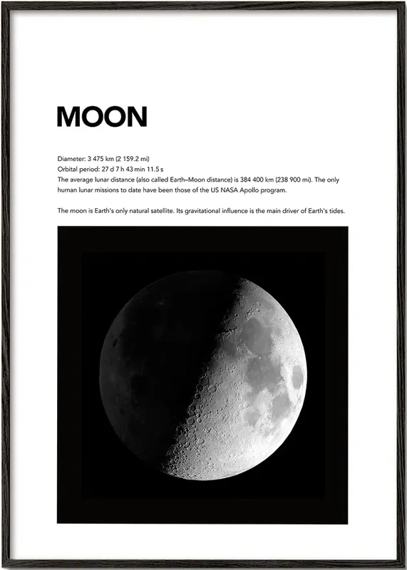 Moon – Poster / 8 » x 12 » in / No