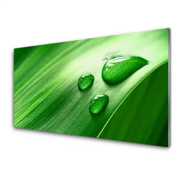 Paneles de pared Hoja agua gotas