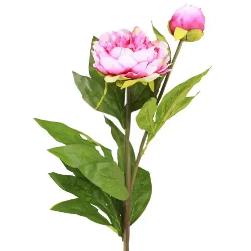 Peonías Flores Artificiales De Tallo Largo Rosa 70cm 3uds