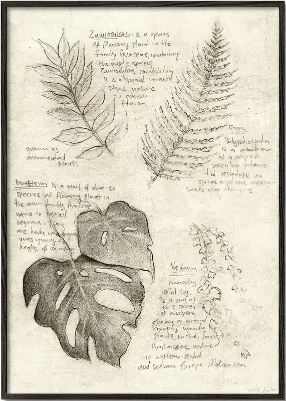 Plants – Poster / 8 » x 12 » in / No