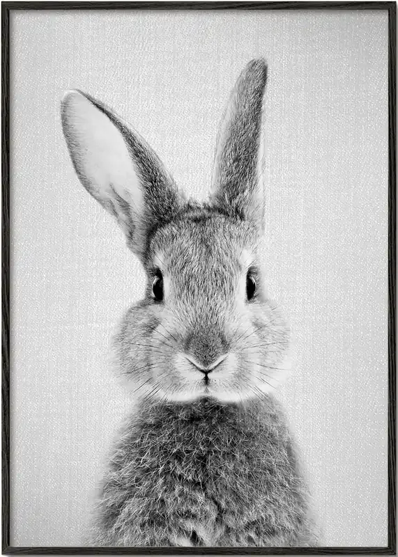 Rabbit – Black & White – Poster / 8 » x 12 » in / No