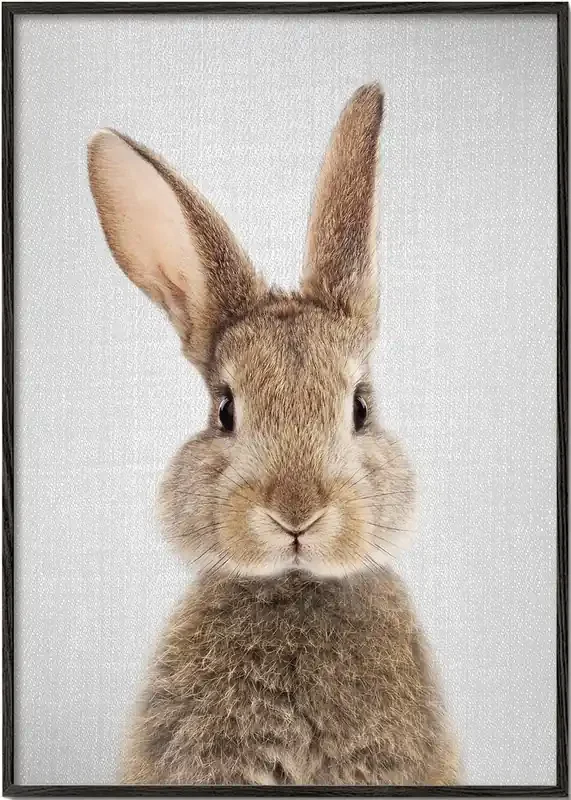 Rabbit – Poster / 8 » x 12 » in / No