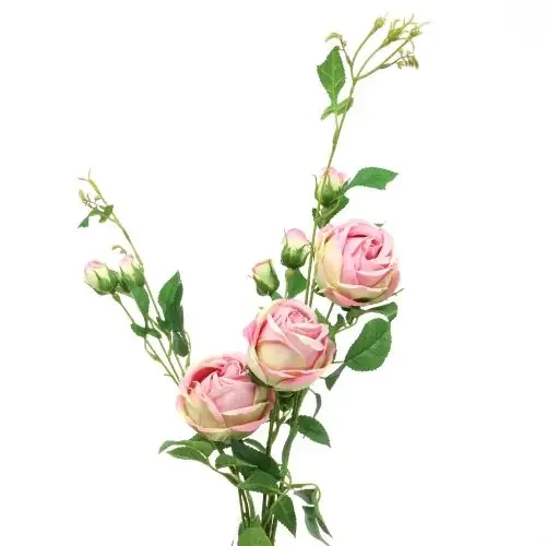 Rama de rosa rosa 100cm