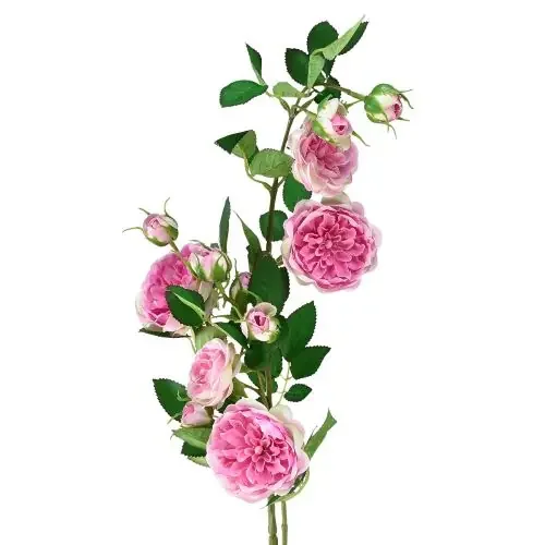 Rama de rosas rosas de seda ramas artificiales rosas crema rosa 79cm