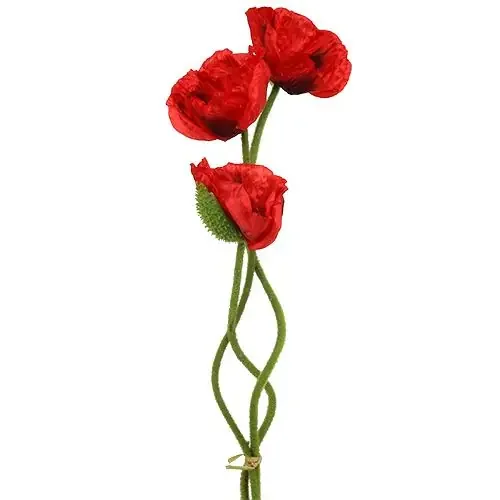Rojo amapola 58cm – 74cm 3 piezas
