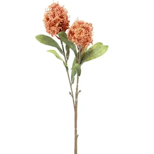 Skimmie Skimmia Japonica Flores Artificiales Naranja DryLook L59cm