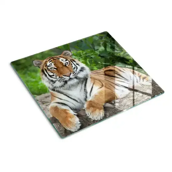 Tabla de cortar de cristal Tigre en su hábitat natural